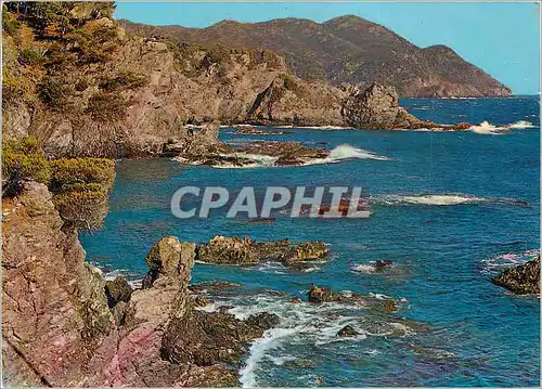Cartes postales moderne Lumiere et Beaute de la Cote d'Azur