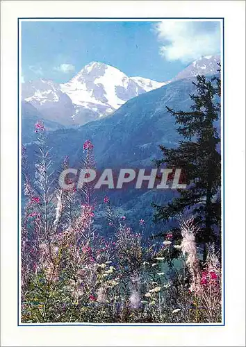 Cartes postales Purete et Splendeur des Alpes