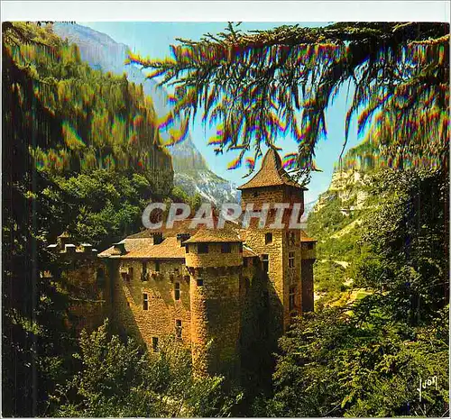 Ansichtskarte AK Les Gorges du Tarn (Lozere) Couleurs et Lumiere de France Chateau de la Caze Contruit au XVe S p