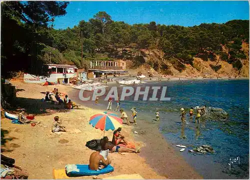 Cartes postales moderne Le Pradet (Var) Couleurs et Lumiere de France Plage des Bonnettes