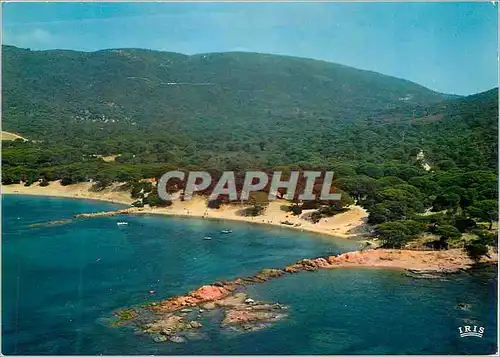 Cartes postales moderne Porto Vecchio Charmes et Couleurs de la Corse La Pinede et la Plage de Palombaggia