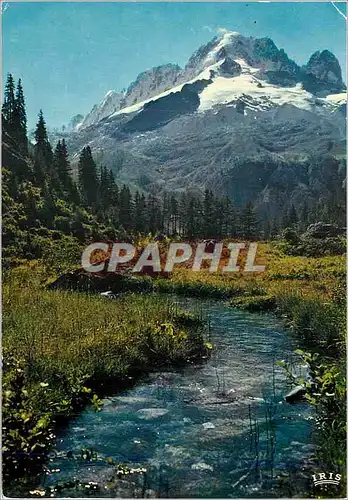 Cartes postales moderne Argentiere Les Neiges d'Ete des Grands Monets (3275 m) Panorama sur les Courtes les Droites et l