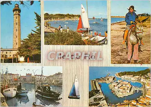 Cartes postales moderne Ile de Re Le Phare des Baleines Trousse Chemise l'ane en Culottes La Flotte en Re St Martin de R