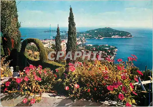 Cartes postales moderne Le Cap Ferrat La Cote d'Azur