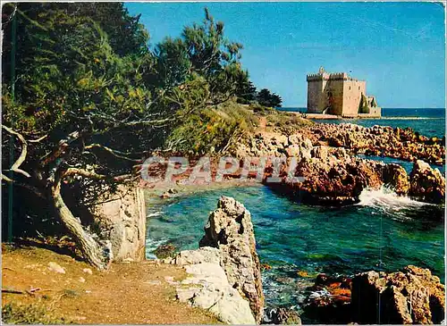 Cartes postales moderne Ile Saint Honorat (Alpes Maritimes) La Cote d'Azur Miracle de la Nature Couleurs et Lumiere de F