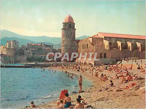 Cartes postales moderne Collioure (Pyr Or) Lumiere et Couleurs du Roussillon La Plage Au Fond Les Alberes