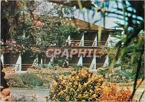 Cartes postales moderne Lake Manyara Hotel