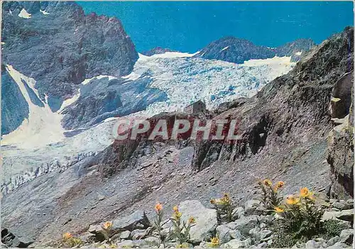 Cartes postales moderne Seracs et Refuge du Glacier Blanc Alt 2556 m