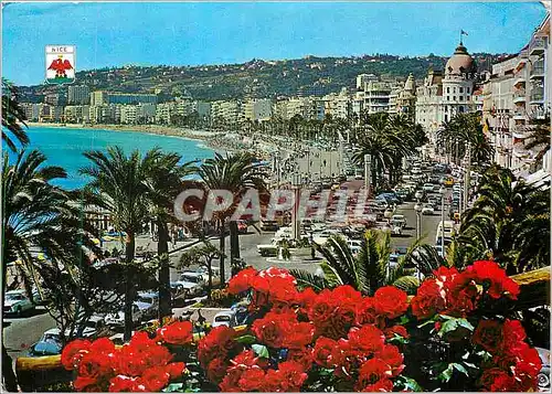 Cartes postales moderne Nice French Riviera Cote d'Azur La Promenade des Anglais