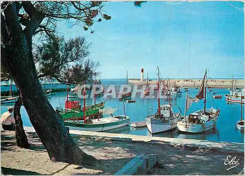 Cartes postales moderne Ile d'Oleron (Char Marit) La Cotiniere La Flotille dans le Port Bateaux
