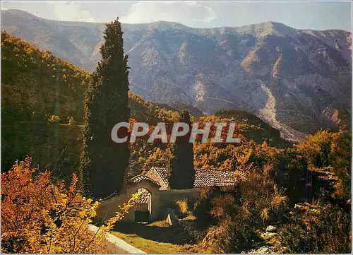 Cartes postales moderne Les Belles Couleurs de Provence Un Coin Pittoresque de Provence Au Loin le Mont Ventoux (1912 Le