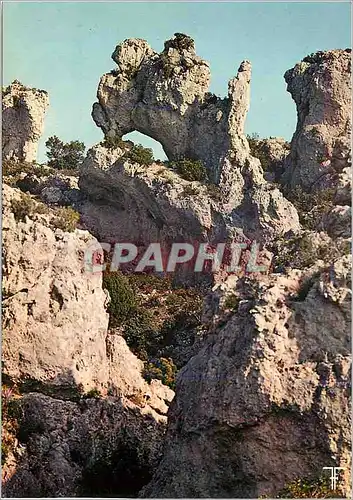Cartes postales moderne Languedoc Cirque de moureze Le Zebu