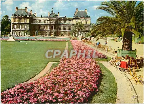 Cartes postales moderne Paris Jardin et Palais du Luxembourg Couleurs et Lumiere de France