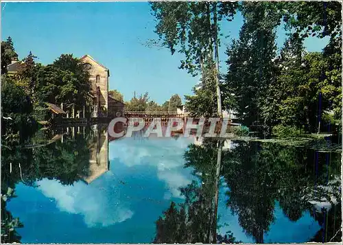 Cartes postales moderne La Chartre sur Loir (Sarthe) Bords du Loir