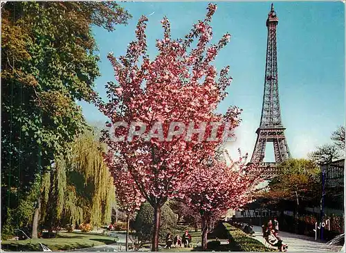 Cartes postales moderne Paris La Tour Eiffel Vue des Jardins