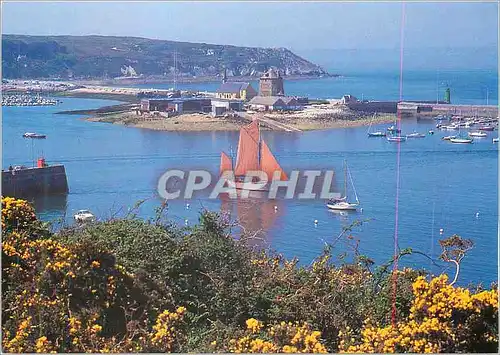 Cartes postales moderne Camaret La Belle Etoile Langoustier Camaretois au Mouillage dans le Port Bateaux