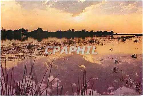 Cartes postales moderne Delta du Danube Coucher de Soleil sur la Mila