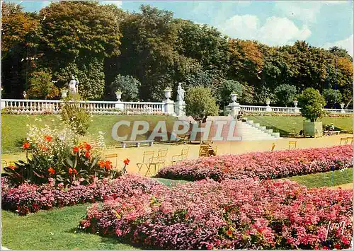 Cartes postales moderne Paris Couleurs et Lumiere de France Jardin et Terrasse du Palais du Luxembourg