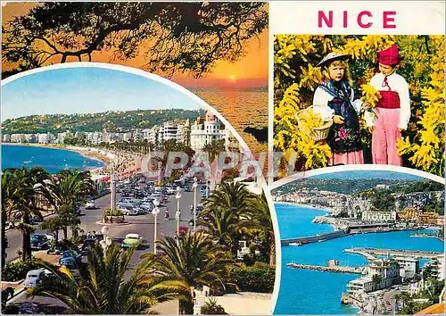 Cartes postales moderne Nice French Riviera Cote d'Azur La Promenade des Anglais L'Entree du Port