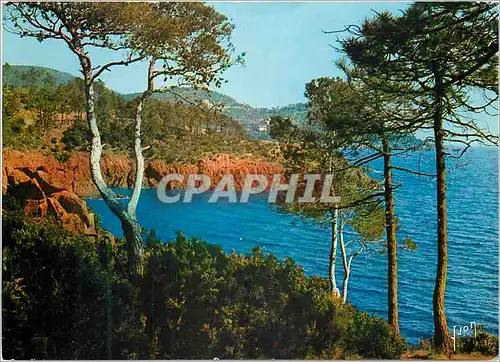 Cartes postales moderne Massif de l'Esterel (Var) Miracle de la Nature La Cote d'Azur Couleurs et Lumiere de France