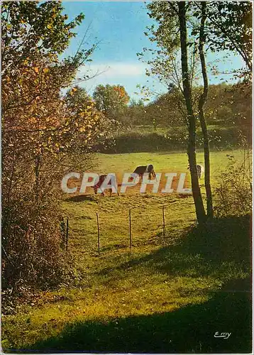 Moderne Karte La Normandie Pittoresque Paysage d'Automne