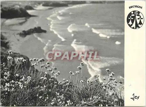 Cartes postales moderne Bretagne J'ai vu la Blanche fille de la Mer je l'ai meme entendue Chanter