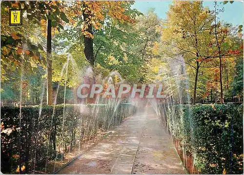 Cartes postales moderne Aranjuez Jardin de l'Ile Promenade des Jets d'Eau