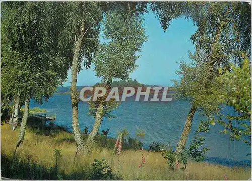 Cartes postales moderne Le Lac des Settons (Nievre) Le Morvan Touristique Le Lac a une superficie de 360 ha Une Contenan