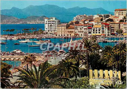 Cartes postales moderne Cannes La Cote d'Azur Le Quai St Pierre au Fond La Napoule Bateaux