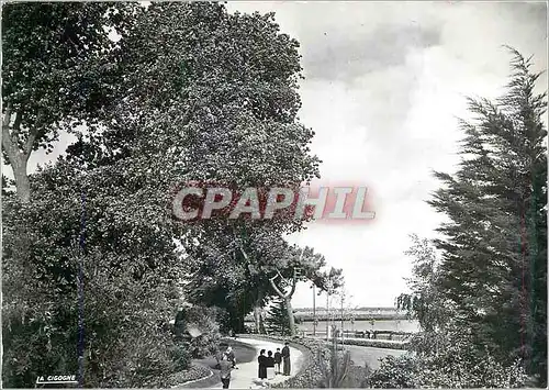 Cartes postales moderne Saint Nazaire (Loire Atlantique) Le Jardin et vue sur la Mer