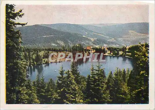 Cartes postales moderne Berghotel und Wintersportplatz Mummelsee 1036 m u d M Badischer Schwarzwald inh Karl Burk ruf Ka