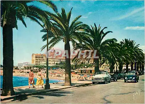 Cartes postales moderne Saint Raphael (Var) La Cote d'Azur Couleurs et Lumiere de France Boulevard de la Liberation Auto