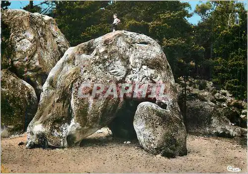 Cartes postales moderne Larchant (S et M) L'Elephant