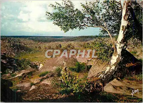 Cartes postales moderne Foret de Fontainebleau (Seine et Marne) Couleurs et Lumiere de France Desert d'Apremont