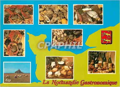 Cartes postales moderne La Normandie Gastronomique Fromages Huitres