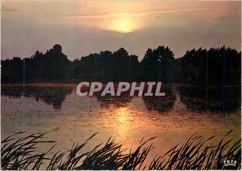 Cartes postales moderne Paysage de France Sur l'Etang qui s'endort Il pleut des Larmes