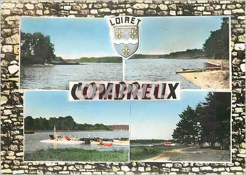 Cartes postales moderne Combreux (Loiret) Le Chateau l'Etang Le Canal La Plage