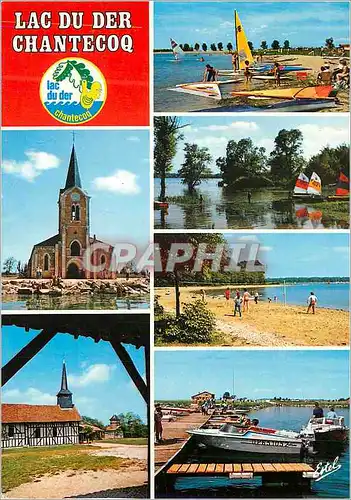 Cartes postales moderne En Champagne Le Lac du Der Chantecoq