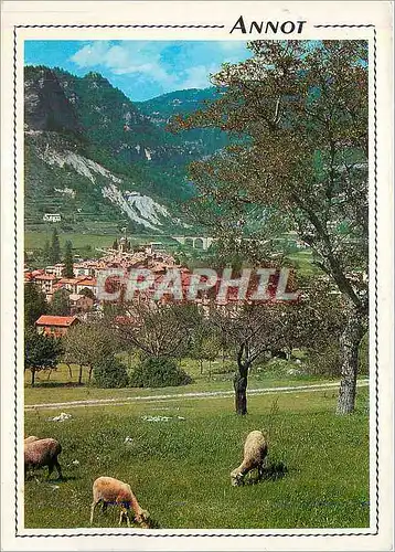 Cartes postales moderne Annot Altitude 705 m Vallee de la Vaire Alpes de Haute Provence vue generale Au Fond Les Gorges