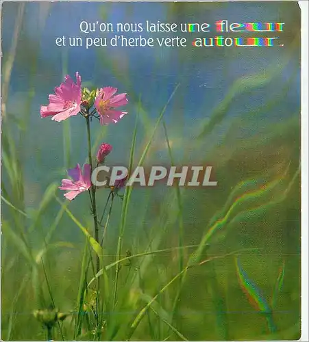 Cartes postales moderne Qu'on nous Laisse une fleur et un peu d'Herbe Verte autour