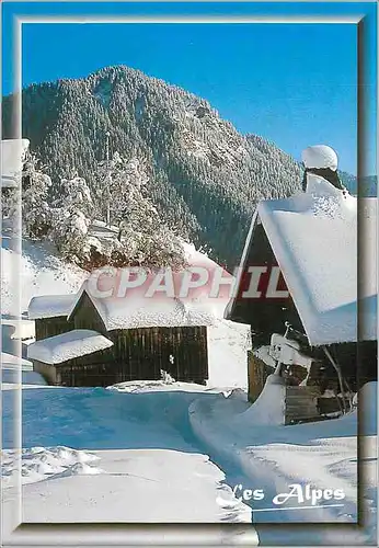 Cartes postales moderne L'Hiver dans les Alpes