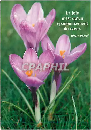 Cartes postales moderne La Joie n'est qu'un Epanouissement du Coeur Blaise Pascal