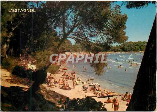 Cartes postales moderne La Londe les Maures La Merveilleuse Plage de l'Estagnol