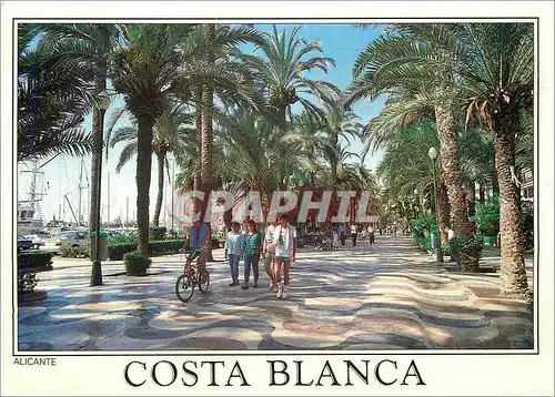 Cartes postales moderne Alicante Costa Blanca La Explanada