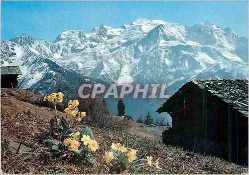 Cartes postales moderne Au Pays du Mont Blanc que de Poesie et de Contrastes a Chaque pas (Massif du Mont Blanc)