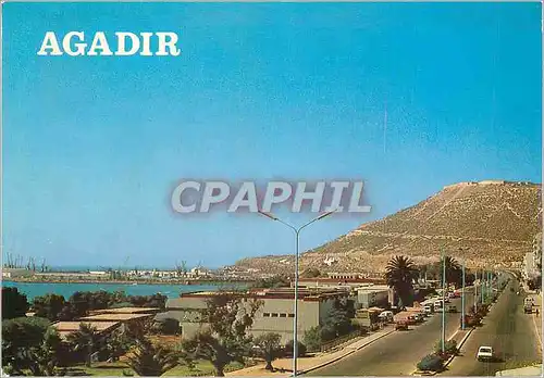 Cartes postales moderne Agadir Avenue Mohammed V