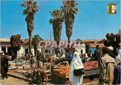 Cartes postales moderne Algerie Cherchell Le Marche
