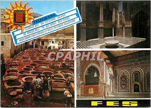 Cartes postales moderne Fes