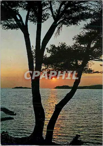 Cartes postales moderne La Cote d'Azur Coucher de Soleil