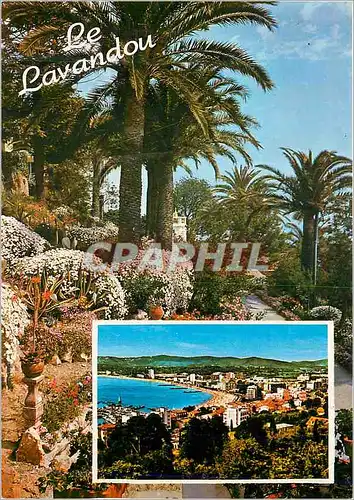 Cartes postales moderne Souvenir du Lavandou Cote Varoise